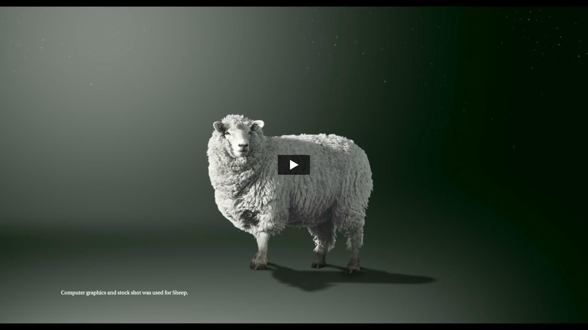 Monte Carlo - Shades | First AD by Sandeep Srinivas