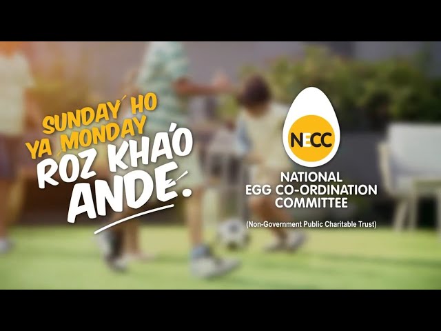 National Egg Coordination Committee - Sunday Ho Ya Monday, Roz Khao Ande Ft. Kareena Kapoor Khan | Photographer by Vaishnav Praveen