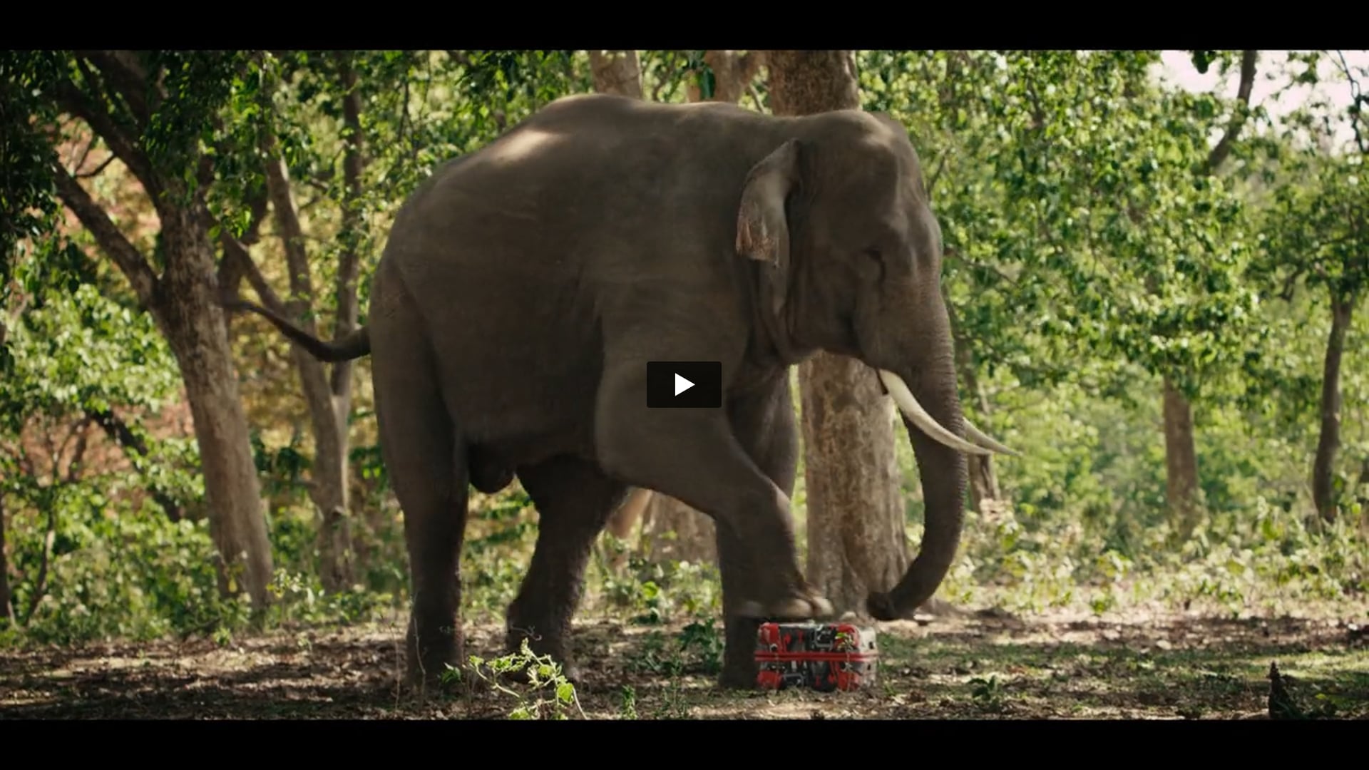 Uppercase - Tested by nature | Costume Stylist by Kairavi Jhaveri