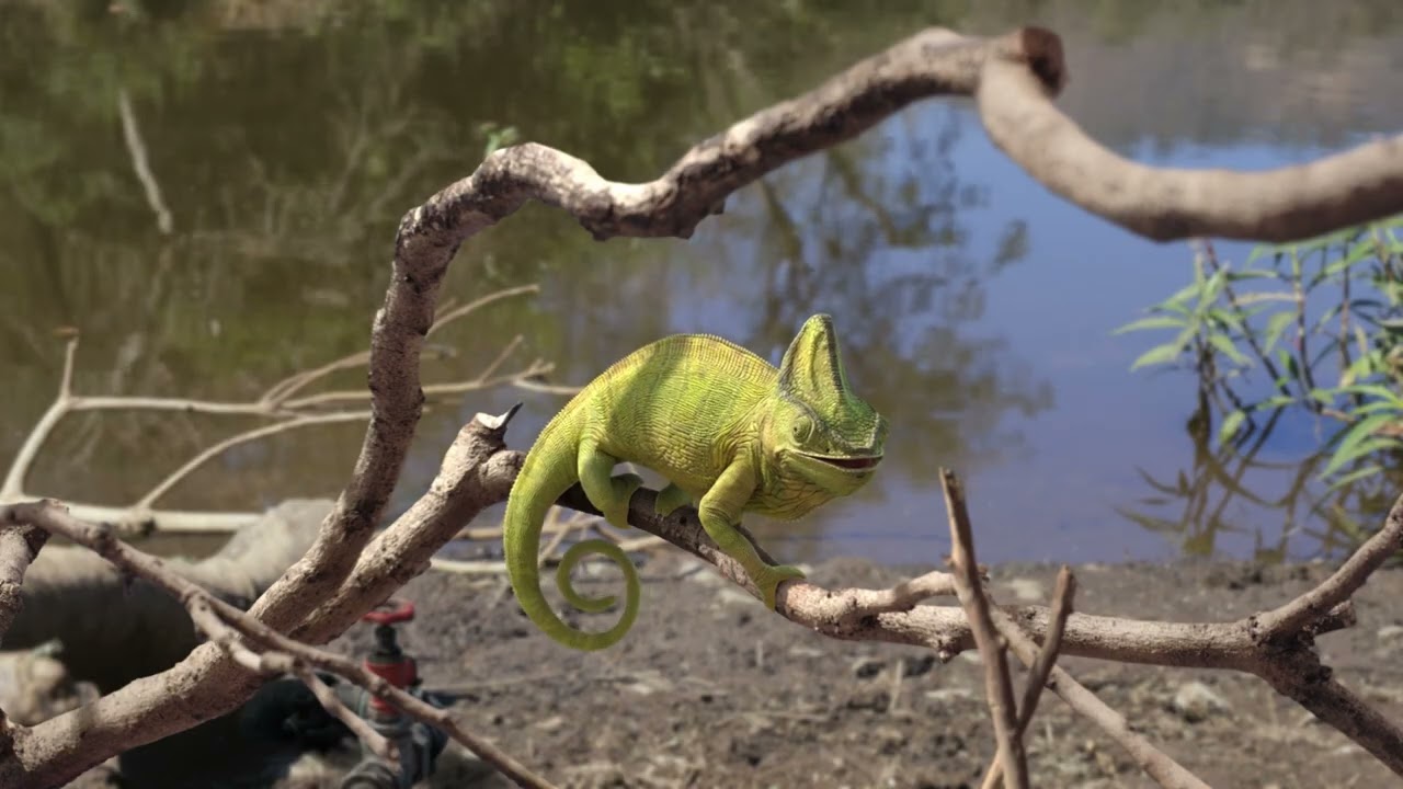 Nuvama - Chameleon Film | Post Producer by Debjan Bose