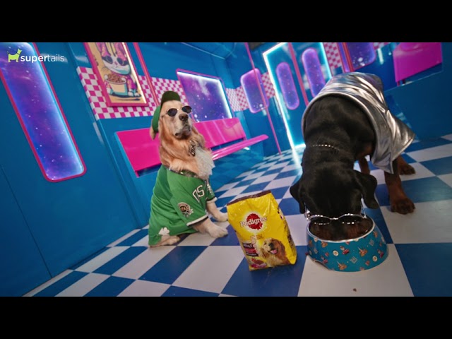 Supertails - Your Pet Super Store | Producer by Manan Bhatt