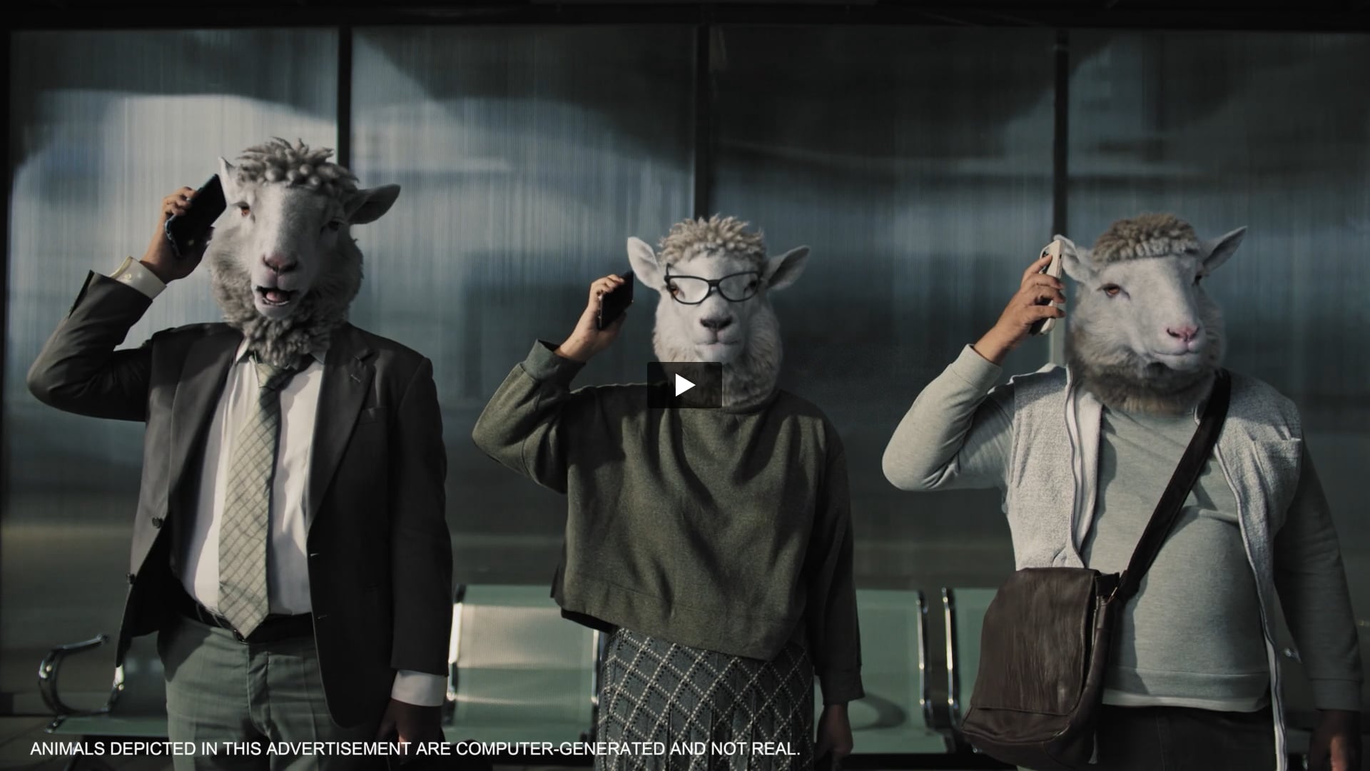 Schweppes - Sheep Film | Producer by Mahesh Dhuri