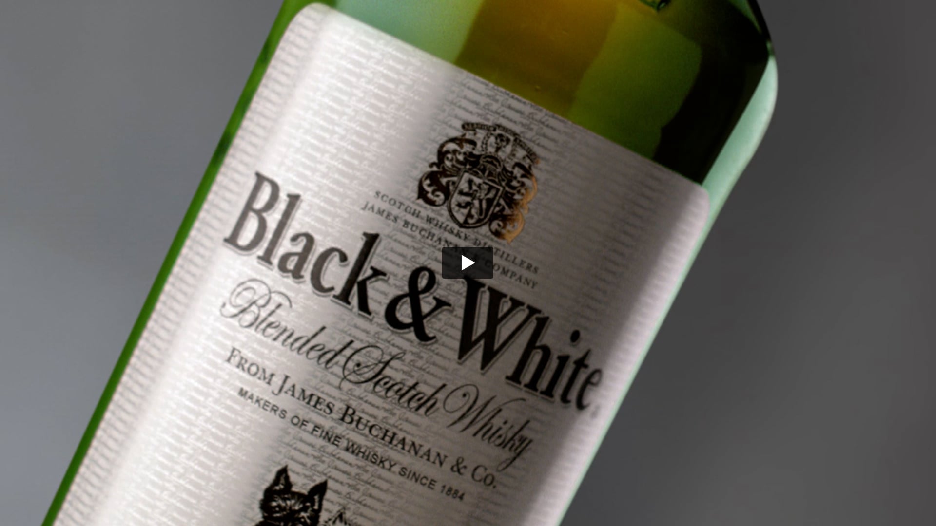 Black and White - Mango | Production Controller by Ganesh Landge