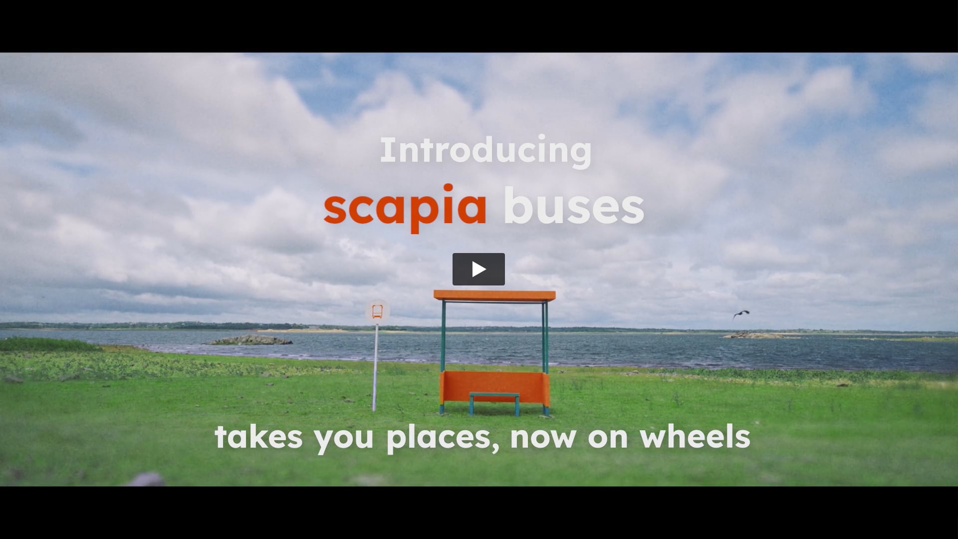 Scapia - Introducing | Gaffer by Swamy 