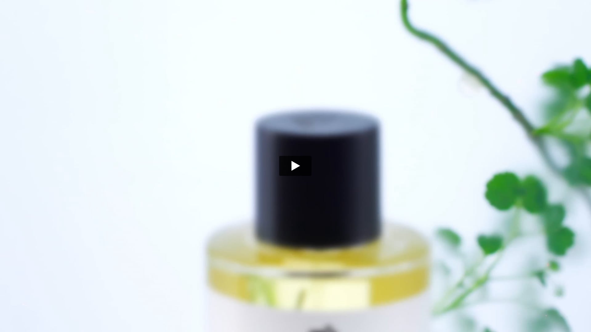 Beautiful India DVC | DoP by Onkar P