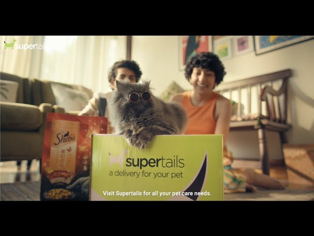 Supertails - Mitty's First Day | Gaffer by Rashid 