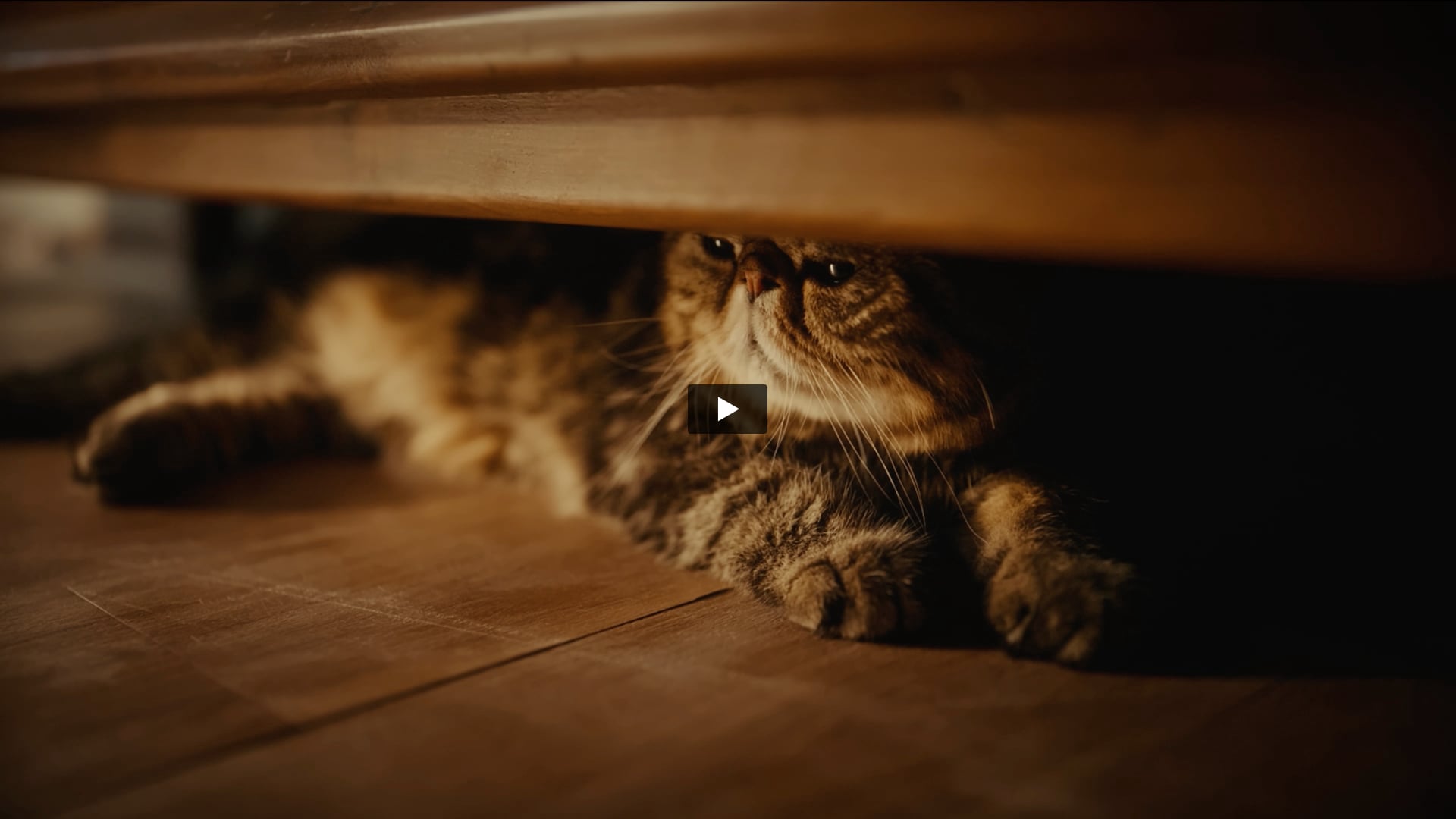 Kia Syros - Keero Meets Syros | Gaffer by Awais 