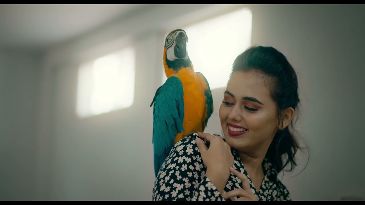 Happyr | Pack Shoot and SFX by Anex 