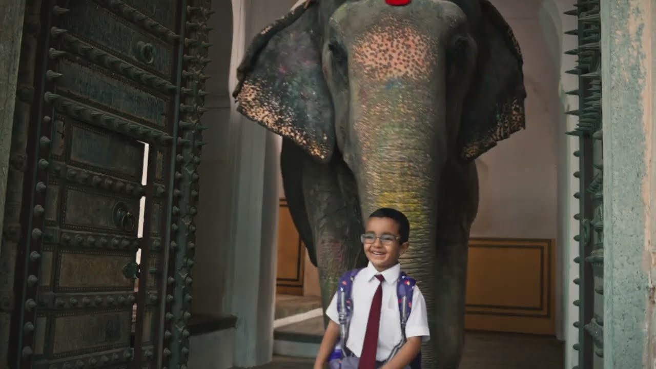 Ambuja Cement - Chintu Elephant | Line Producer by Anurag Biwal