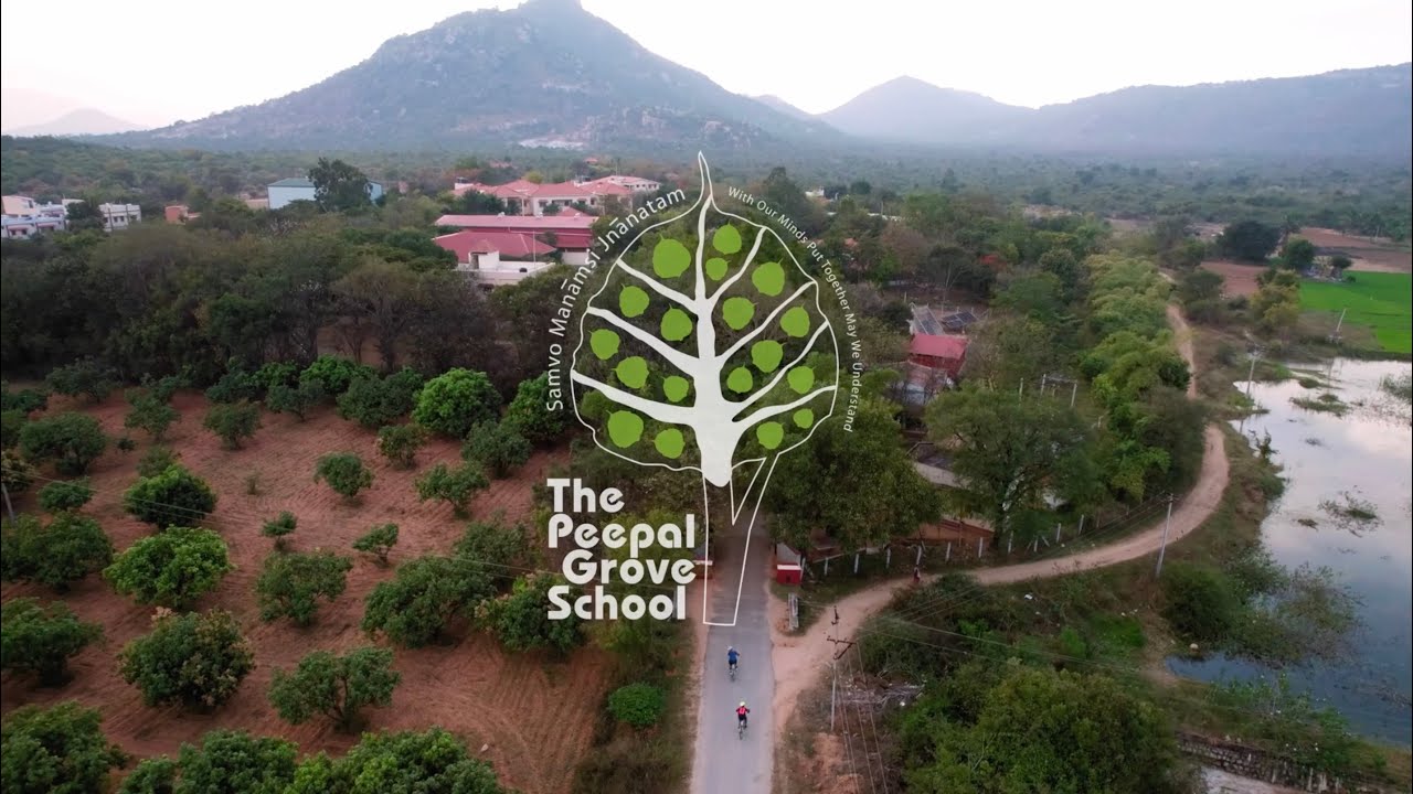 Peepal Grove School - The Journey | Drone Pilot by Sumit Dubey