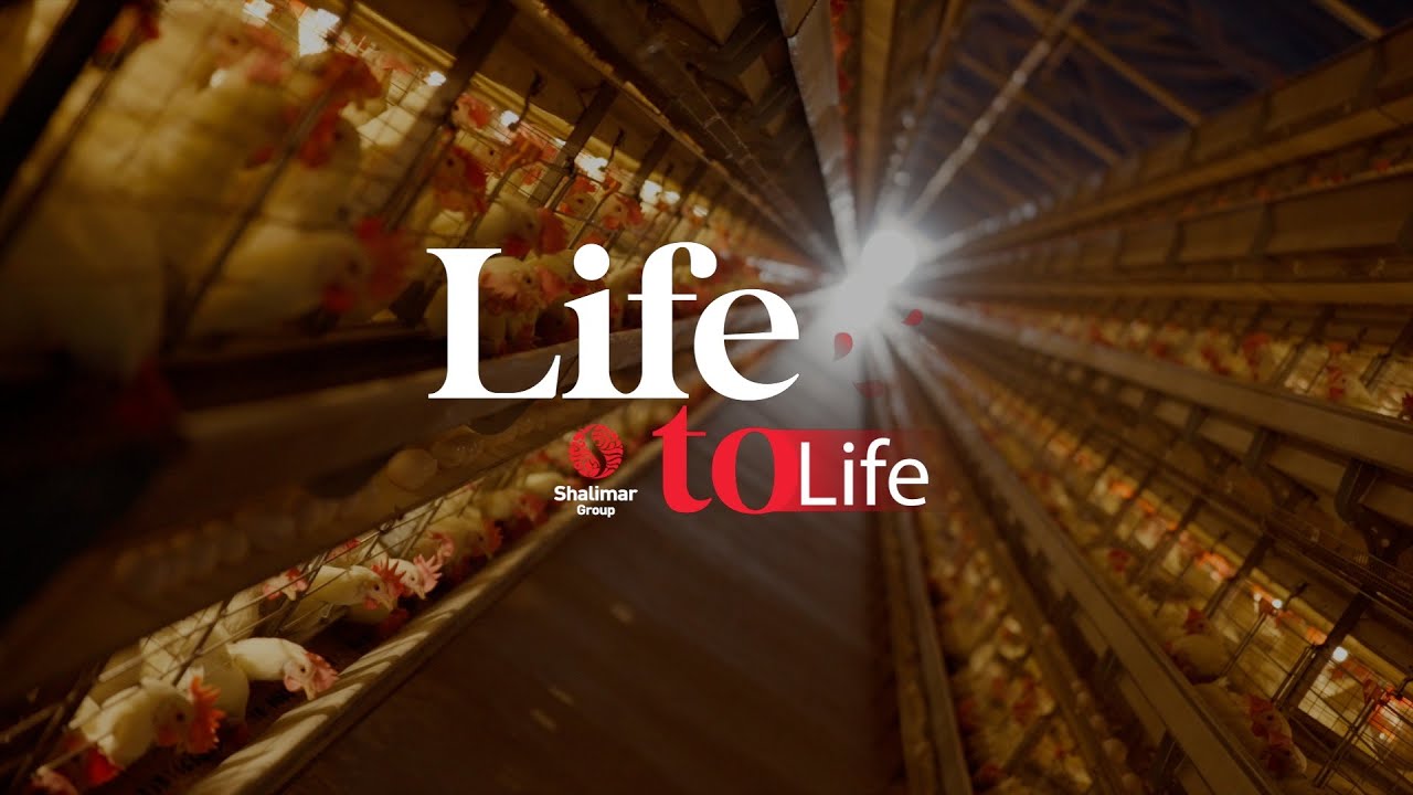 Shalimar Group - Inside A Modern Chicken Factory | Grips by Sreerag 