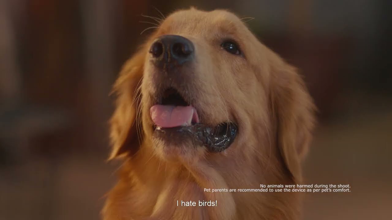 Forbes Buddy - Pet Grooming Kit | Grips by Jayesh Kumar