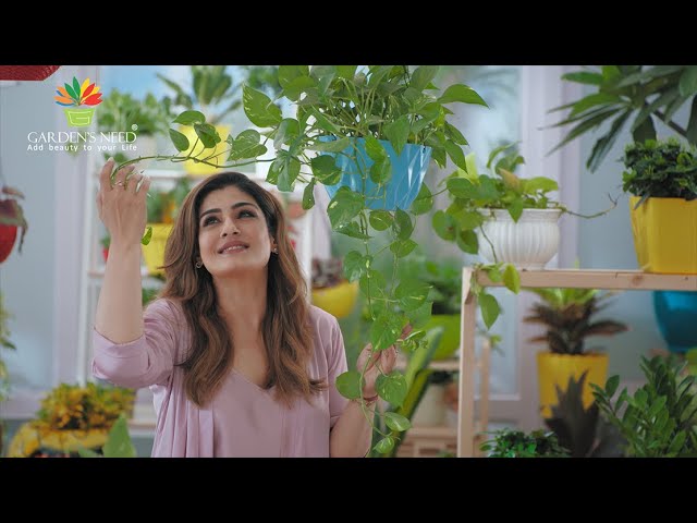 Garden’s Need Planters - Add Beauty To Your Garden | First AD by Prashant Bangera