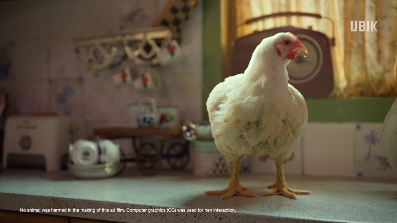 Acko General Insurance - Hen | Photographer by Jason West