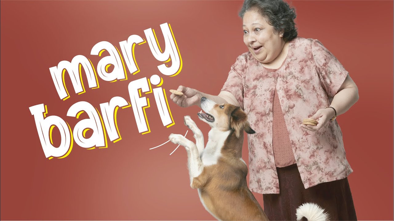 Achha Kiya Insurance Liya - Mary Ki Barfi | Focus Puller by Sajjid Anwar