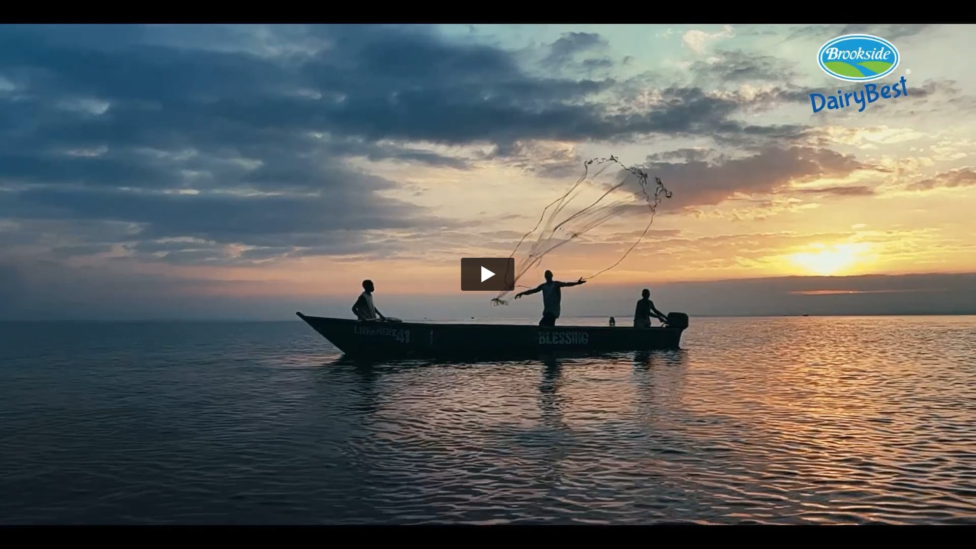 Brookside Dairy Best - Farm Fresh Whole Milk | DoP by Paulo Aris