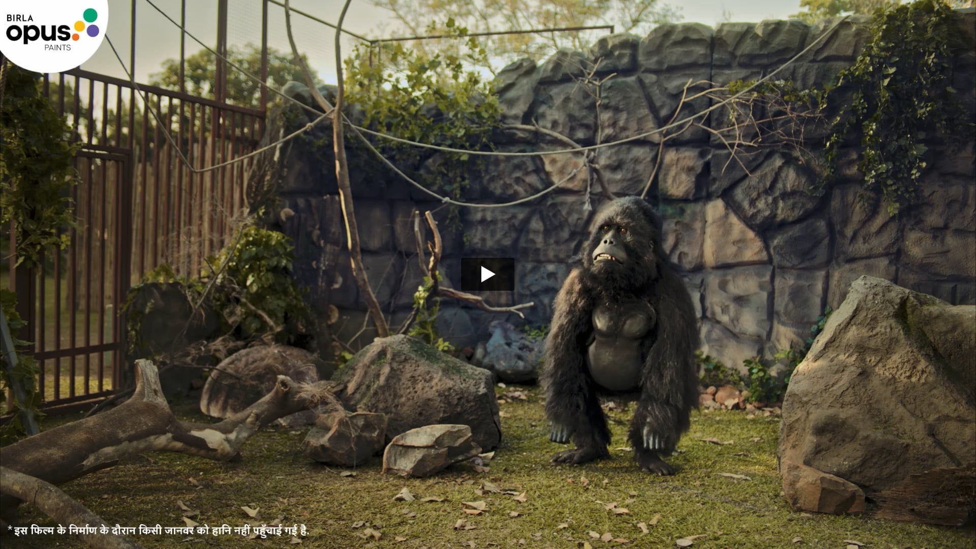 Birla Opus - Gorilla Film | Sound Engineer by Prince 