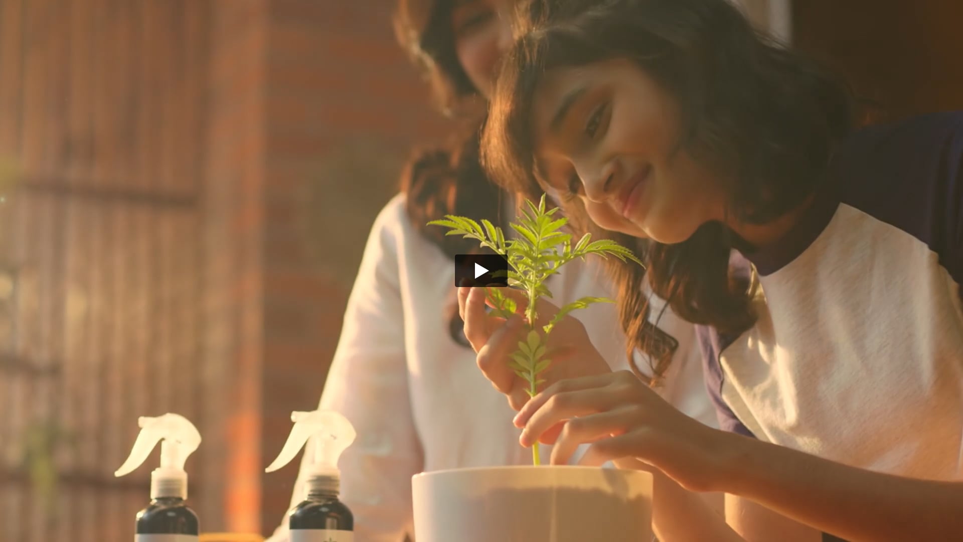 Potandbloom | Production Designer by Kamal Nathan