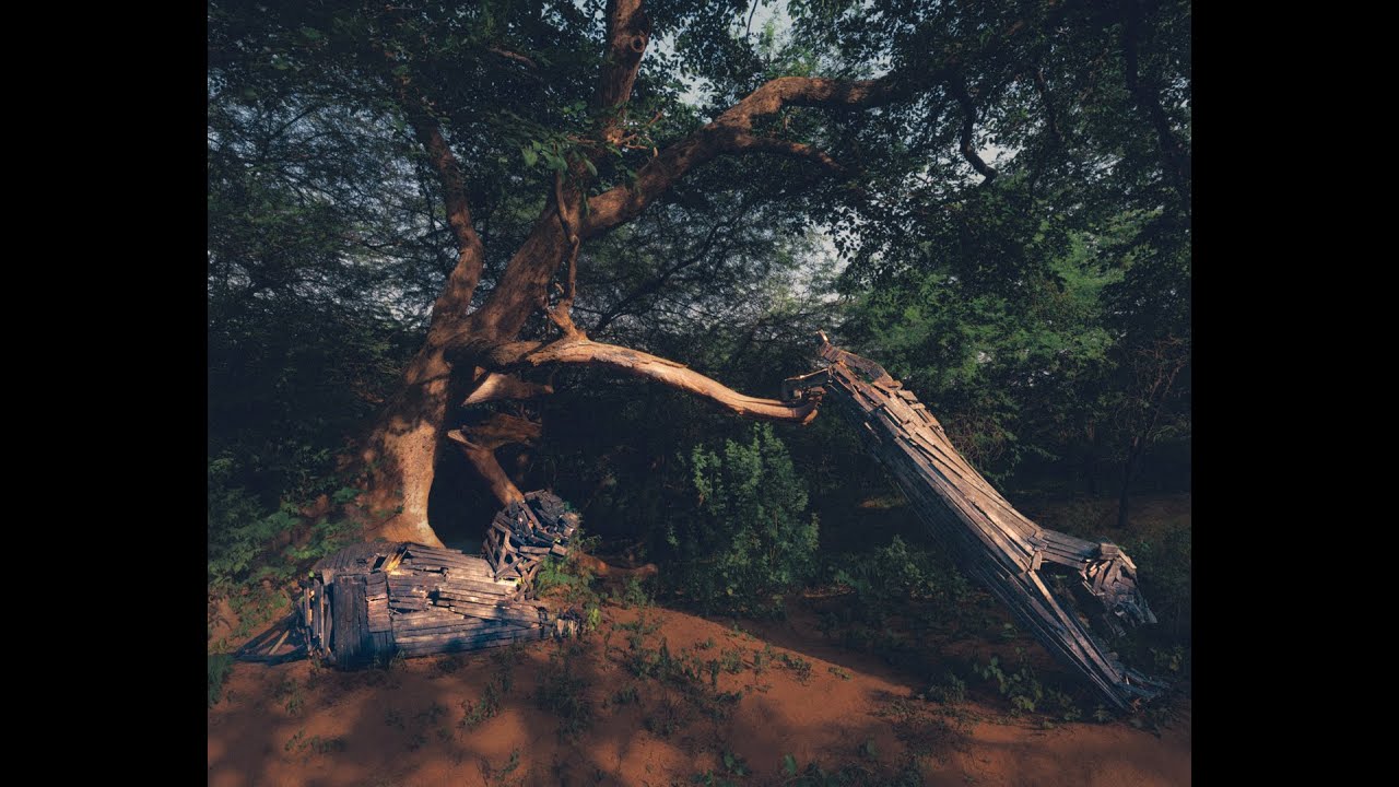 Shanti Banaras -We Have Lost Tigers To Ruined Habitats | Hair and Makeup by Paromita Sinha