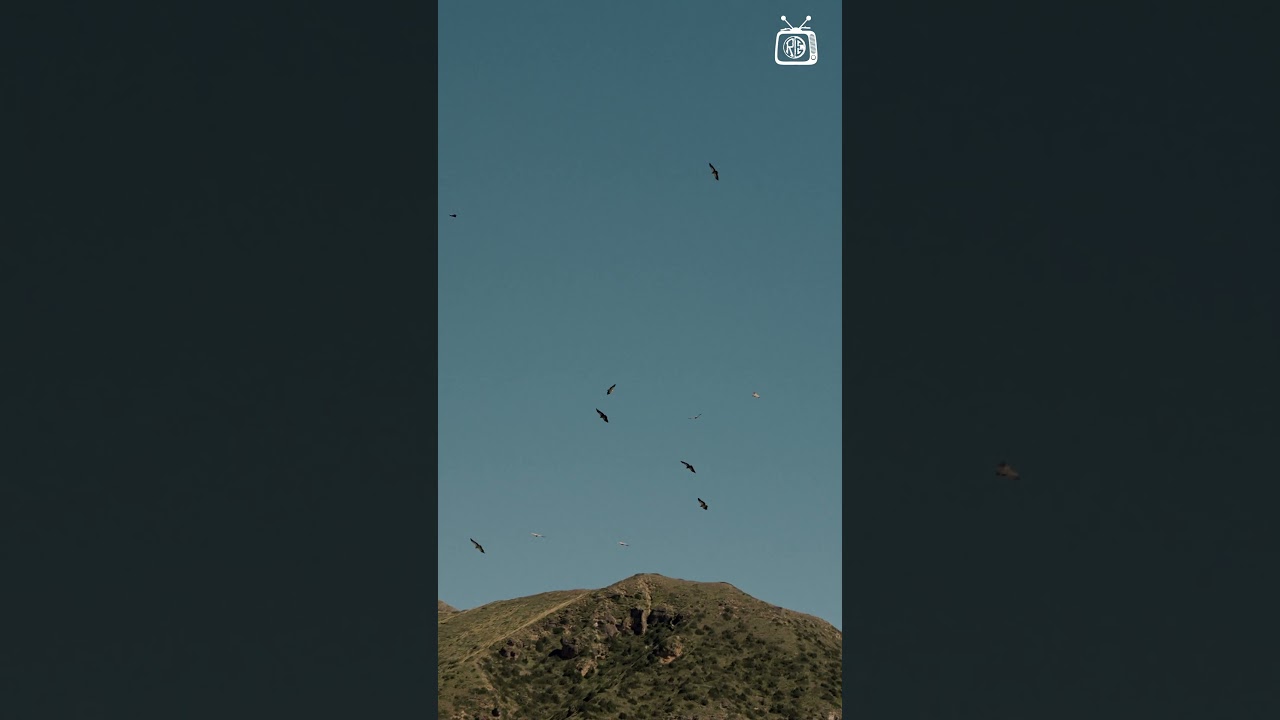 Royal Enfield - The Ballad of Mustang | Assistant Editor by Gaurav Arora