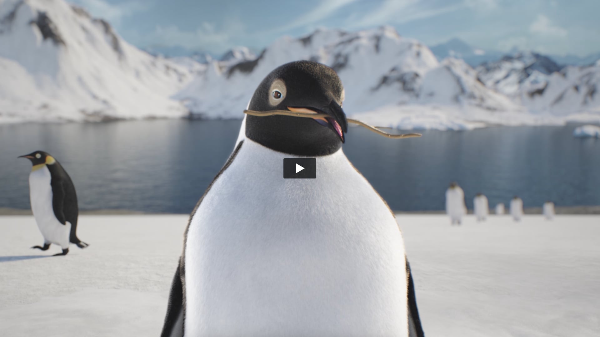 Cadbury Dairy Milk Silk - The Penguin Film | Lyrics by Akshay Seth