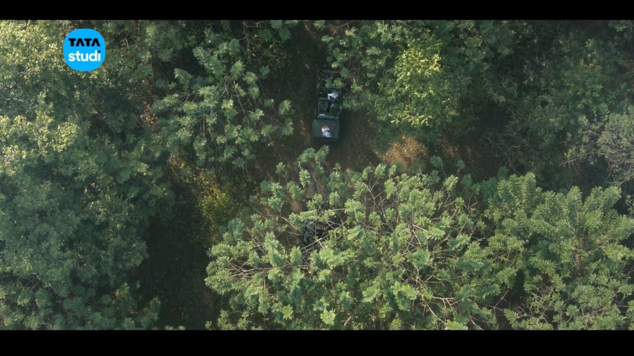 Tata Studi | Costume Assistant by Saniya 