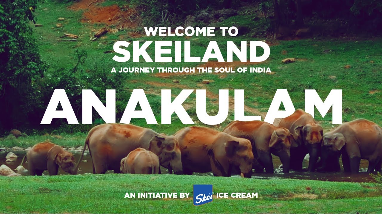 Skei Icecreams - Anakulam | DoP by Amith Pradeep