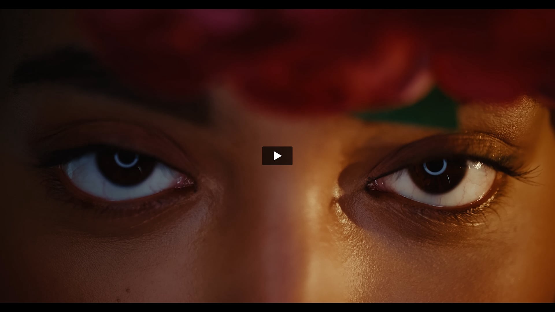 Vivo - Deep Dive | Online Editor by Anshu 