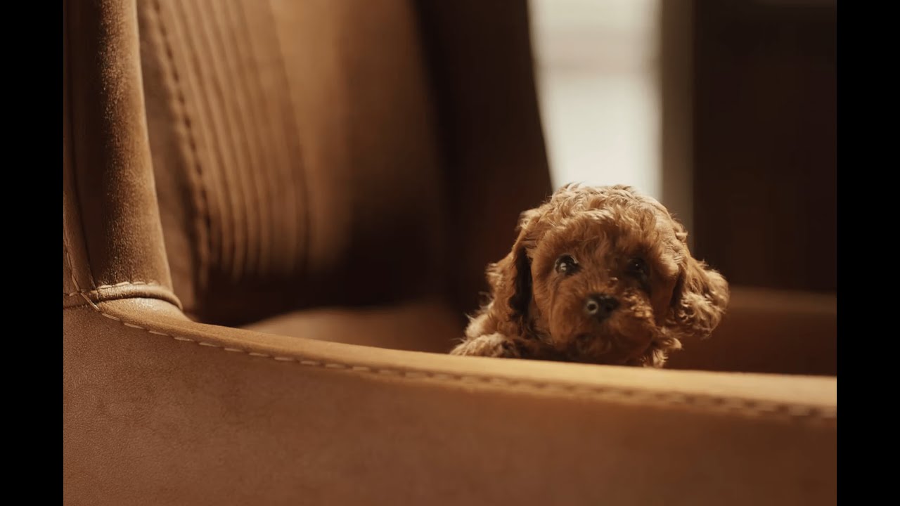 Britannia Little Hearts - Every Bite FUll Of Hearts | Gaffer by Bacho Pirtckhalaishvili