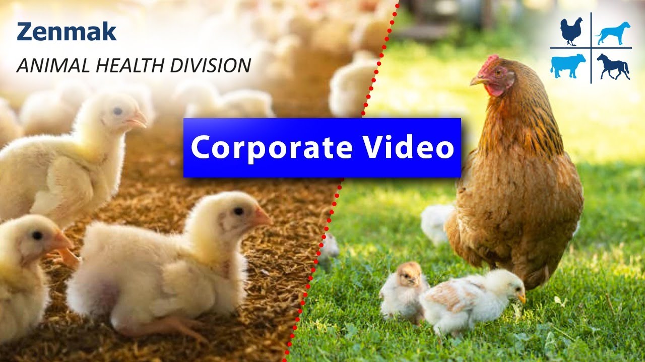 Zenmak - Animal Health Division | VFX by Dhanasekar 