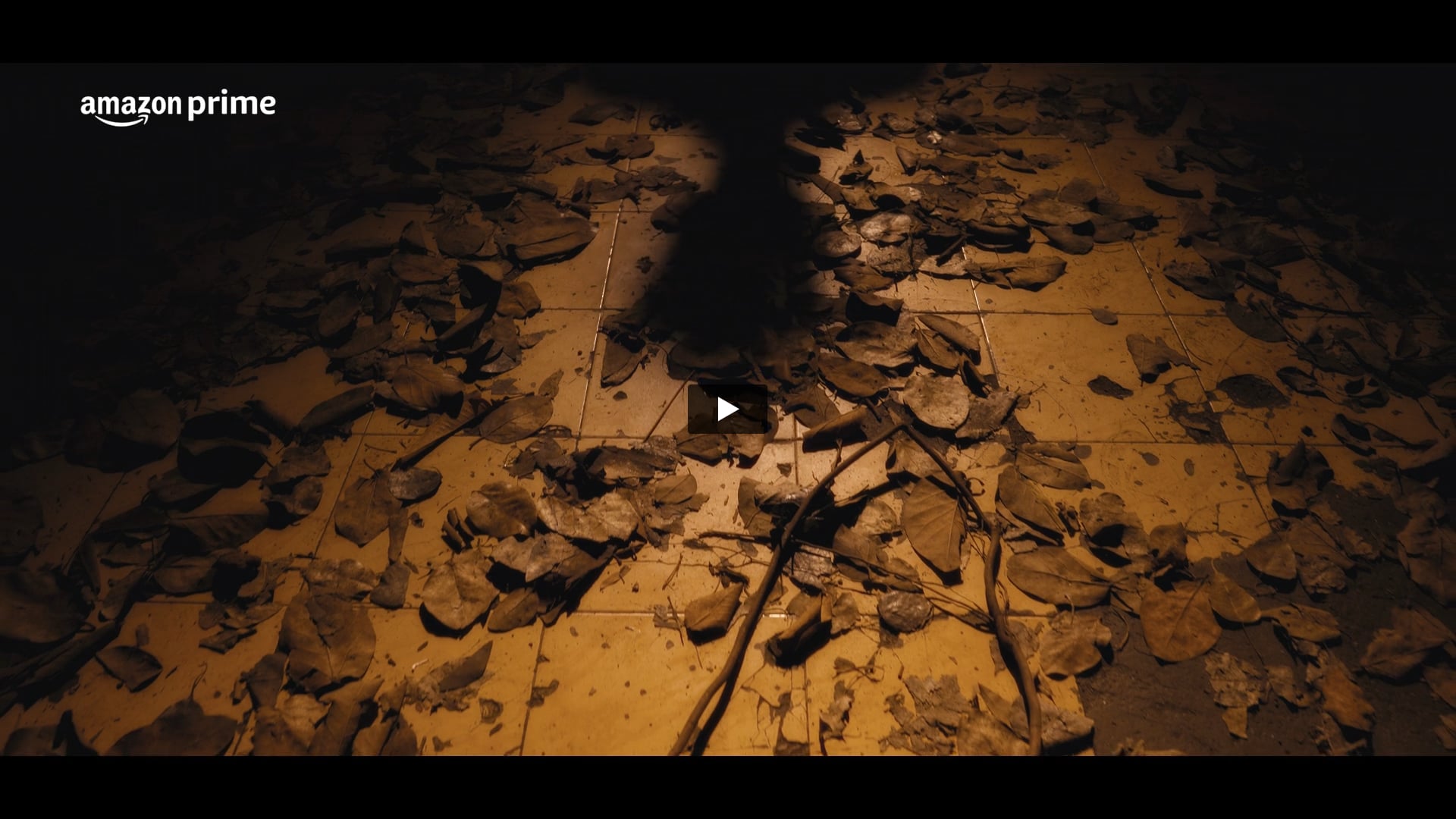 Amazon Prime Video - The Haunted Screening Experience of Adhura | Production Manager by Raj Maurya