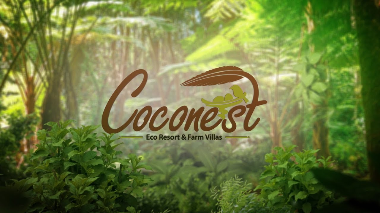 Coconest | Drone Pilot by Dhanasekar 