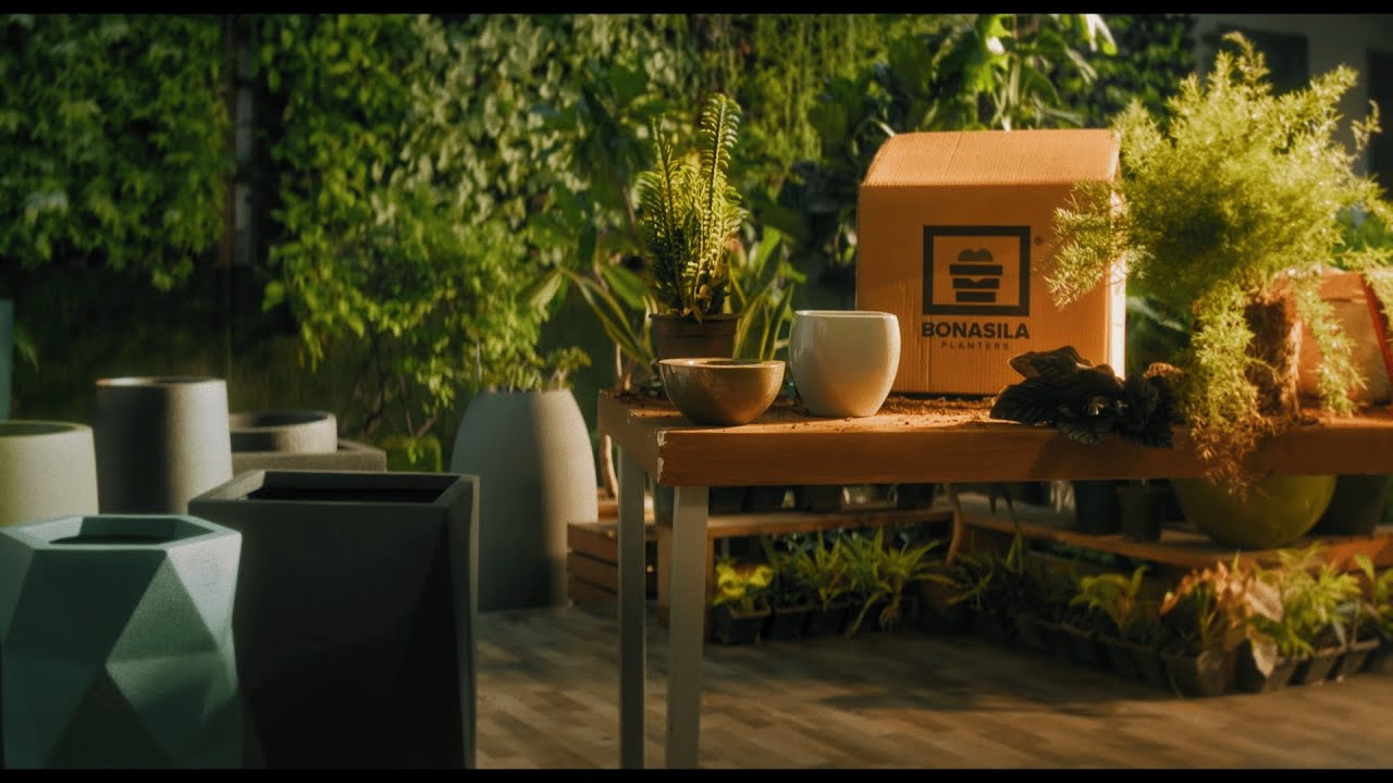 Bonasila Planters - The Perfect Home For Plants | Dressman by Jamil Shaikh