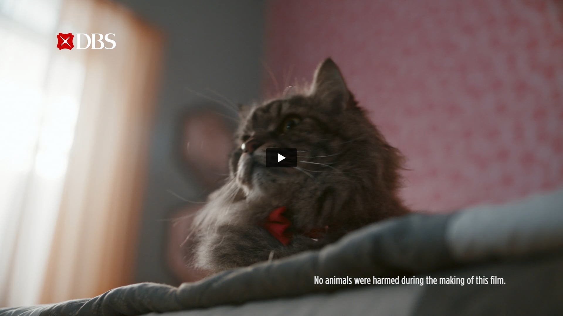 Dbs Bank  - Cat and Mouse Chase | Post Producer by Nirman Vyas