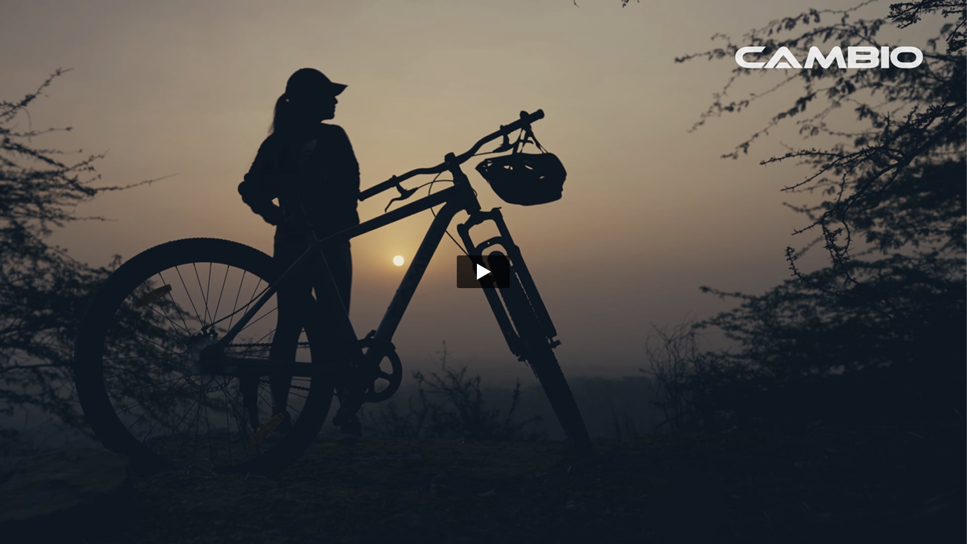 Cambio - Homer | Assistant Editor by Rohan Khurana