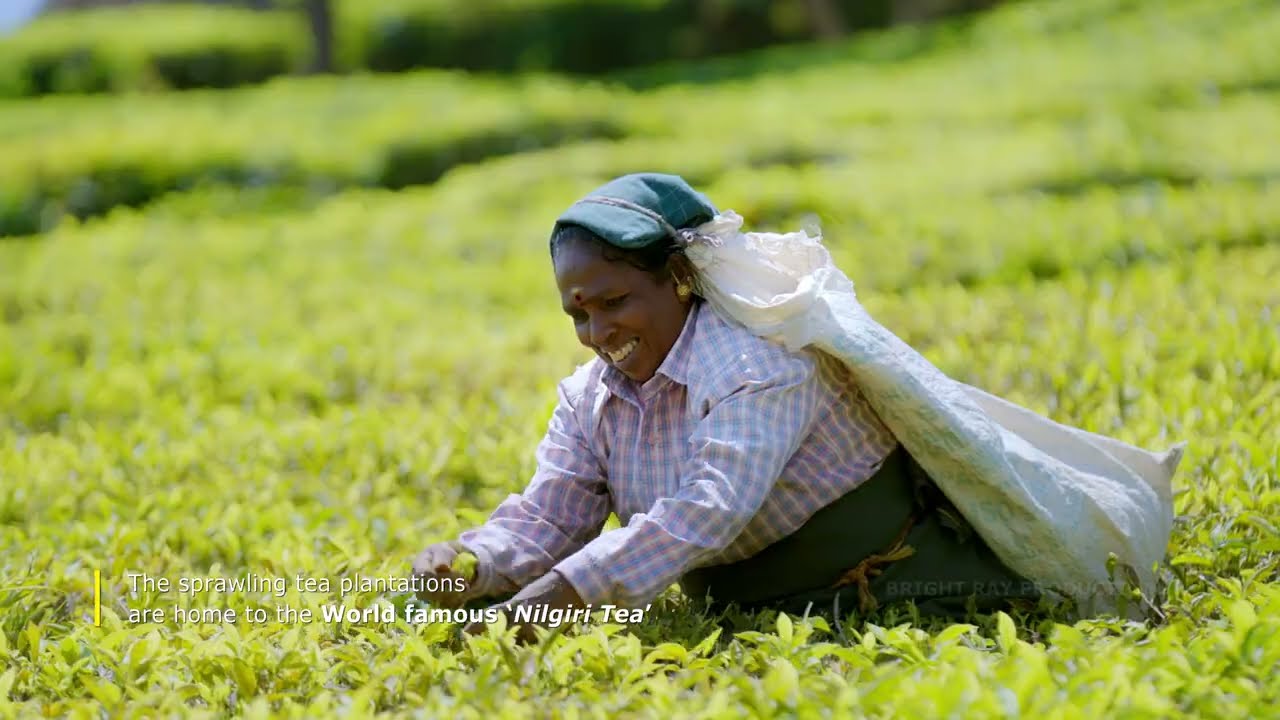 Tamil Nadu Tourism - Fresh Ooty | Production Assistant by Dhina 