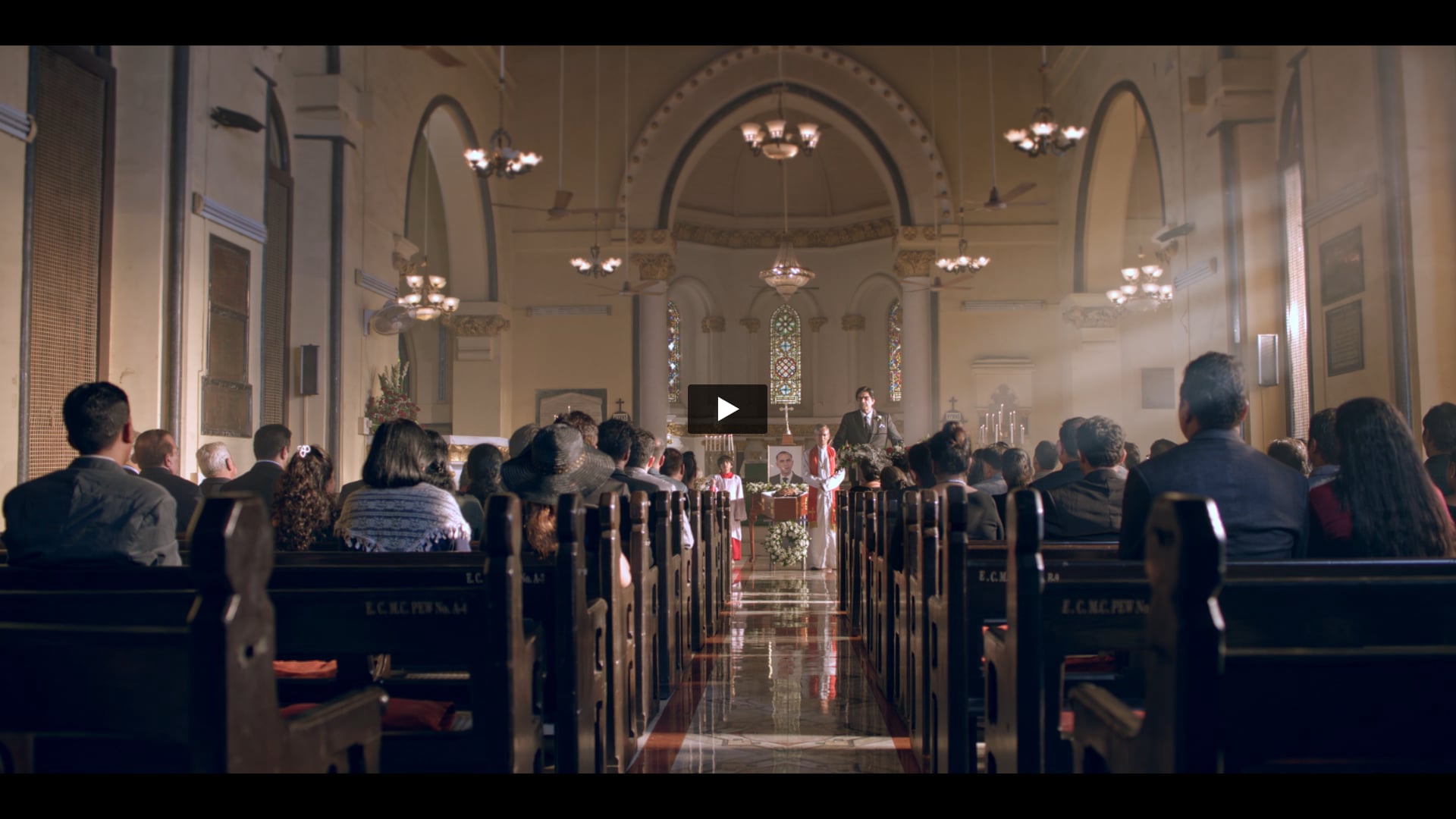 Sebamed - Anti-Hairloss Shampoo | Colourist by Mitten 