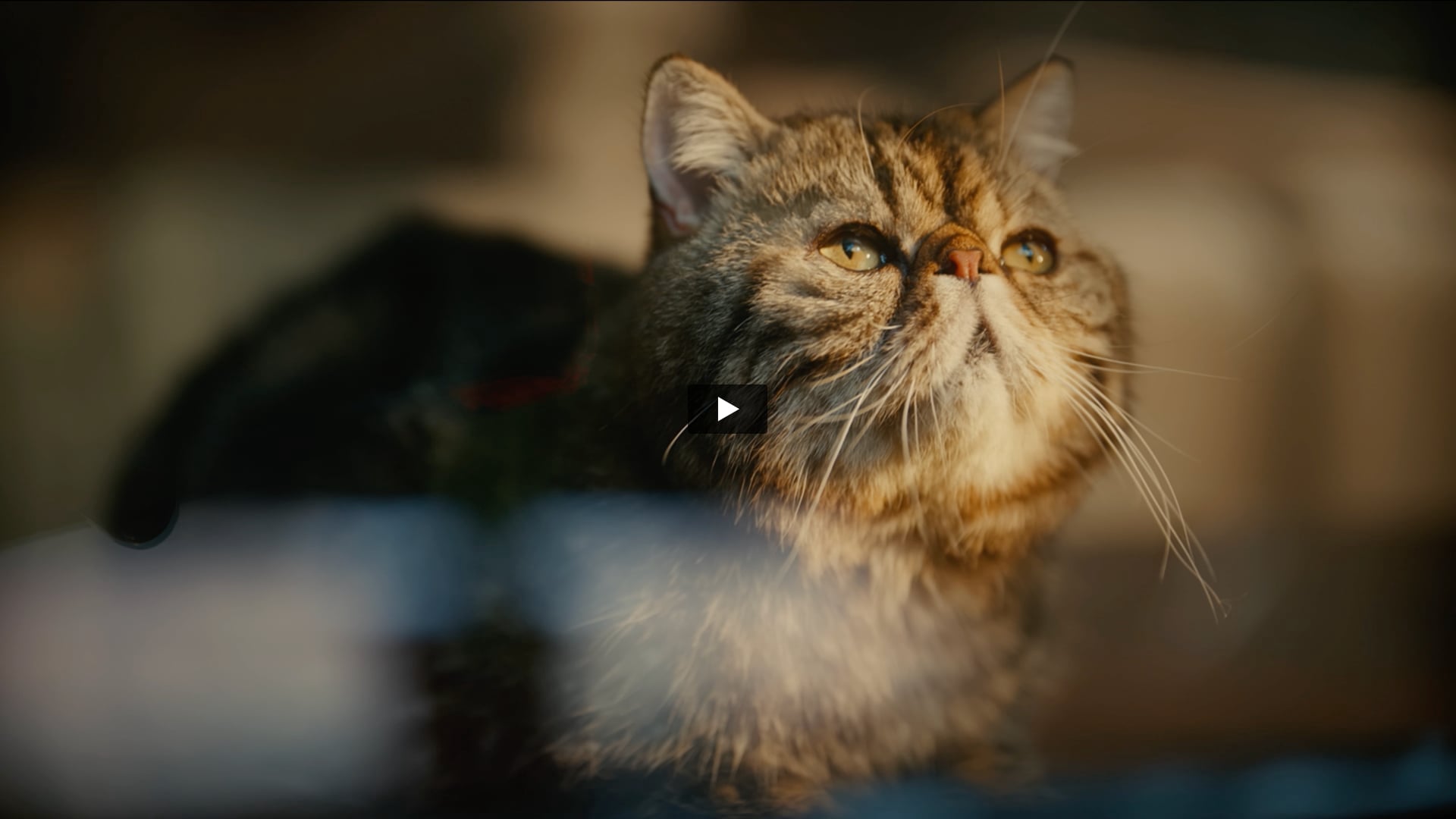 Kia Syros - Keero Meets Syros | Producer by Shahnawaz 