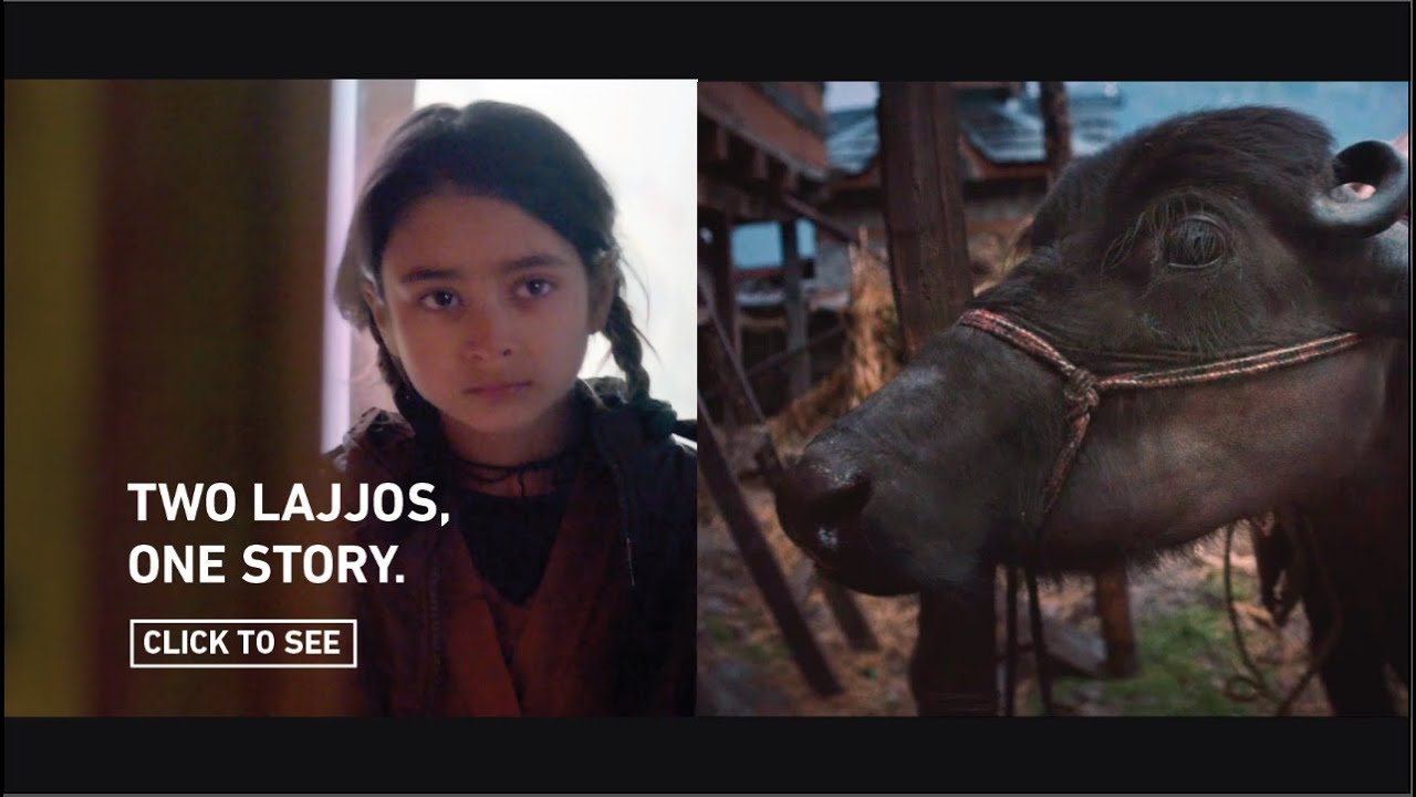 Mahindra Education Trust Project - The Tale Of Two Lajjos | Online Assistant by Dev Nayak