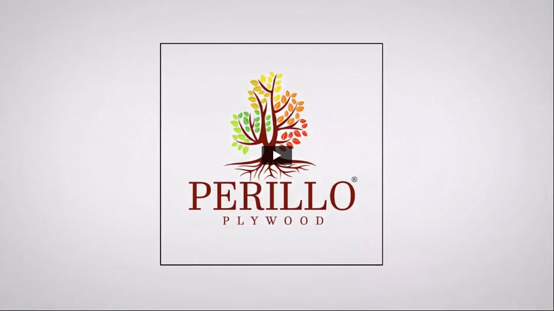 Perillo Plywood | Casting Director by Shivam Singh