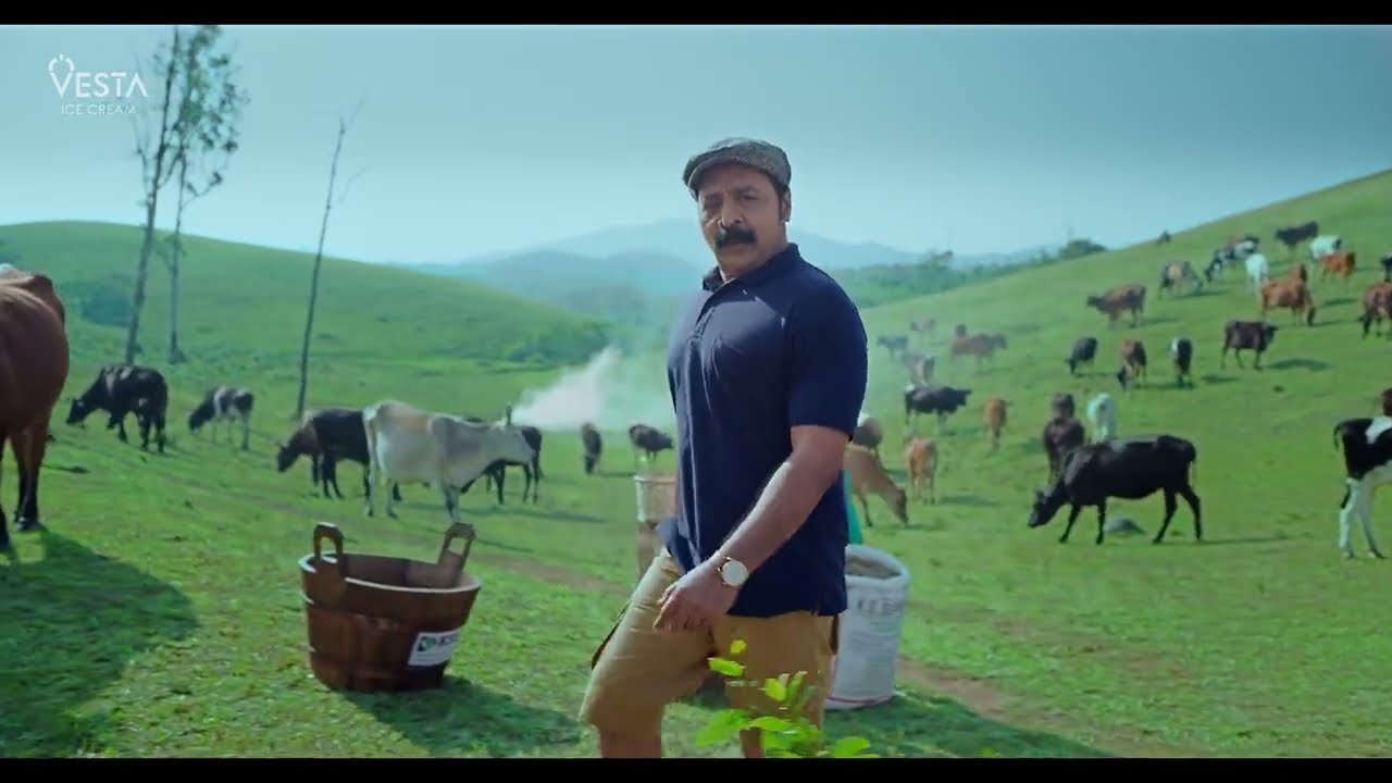 Vesta Ice creams - Perfect Ice Cream | Location Manager by Jordy 