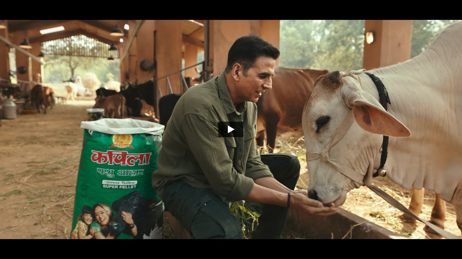 Kapila Pashu Aahar - Country's No.1 Animal Feed | Animal Handler by Raman 