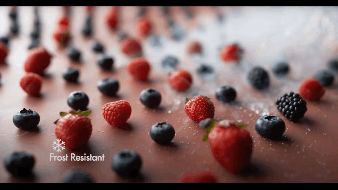 Neotra Advance Surface | Focus Puller by Ranjan Dubey