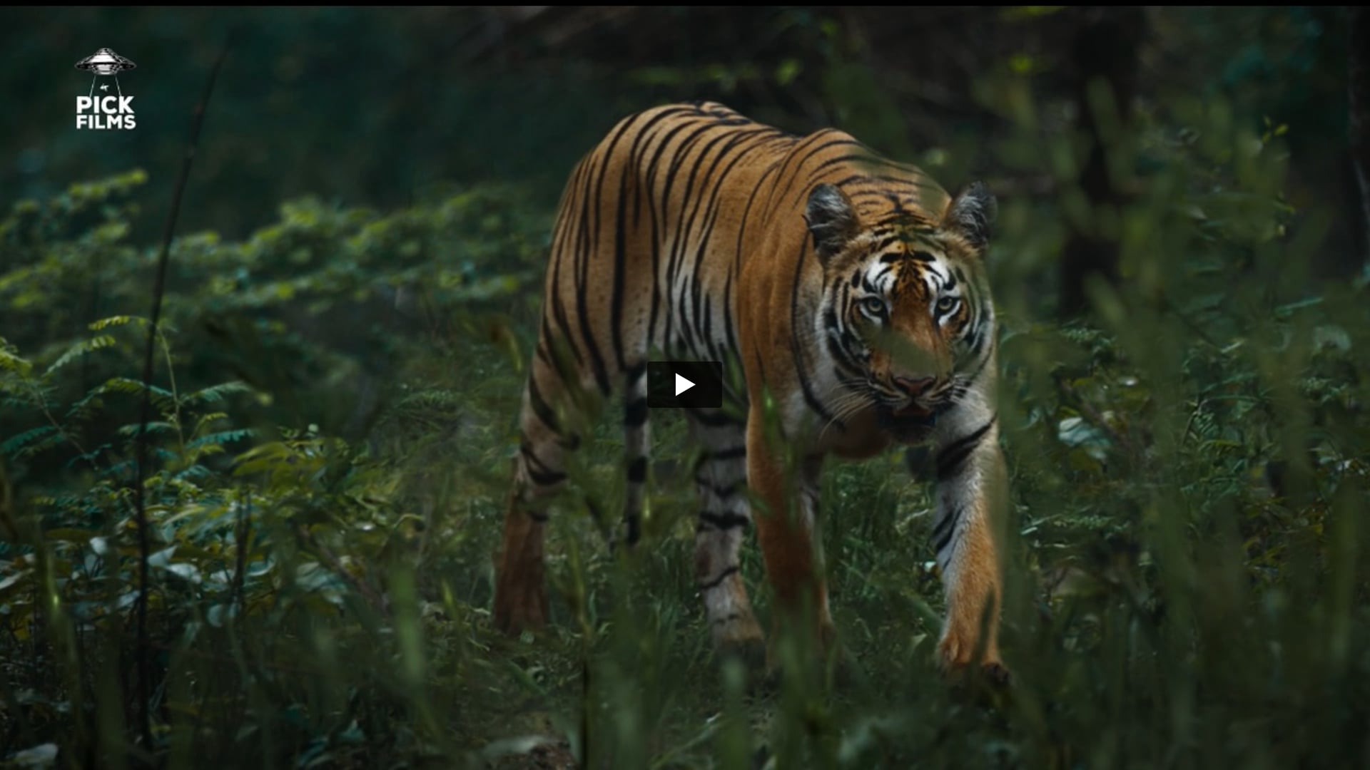 Maharashtra Tourism - Larger Then Life | Online Editor by Shivam 