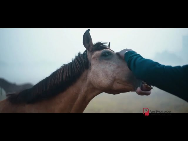 Apollo - Multispeciality Hospitals | Drone Pilot by Sidharth Verma