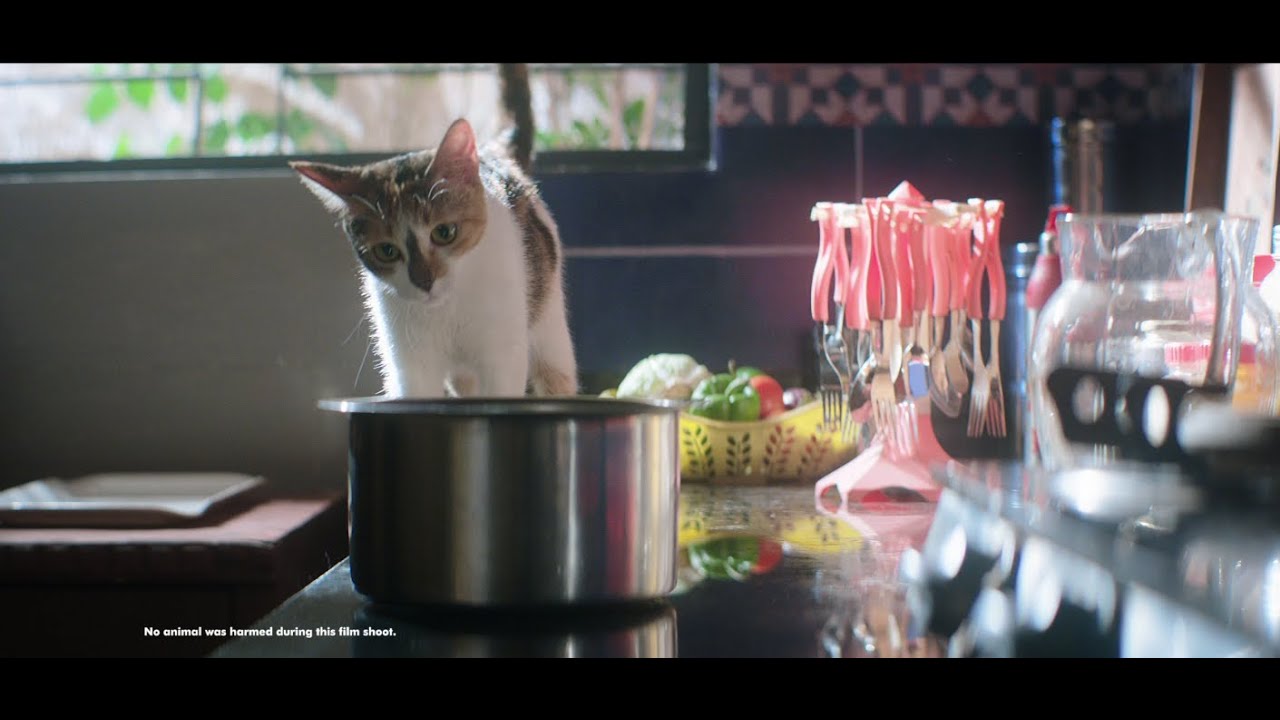 Finolex Pipes - Public Service Film | Gaffer by Sohail 