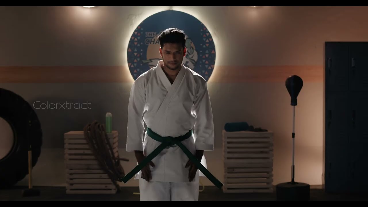 Renacon AAC Blocks | Action Director by Donald Tyson