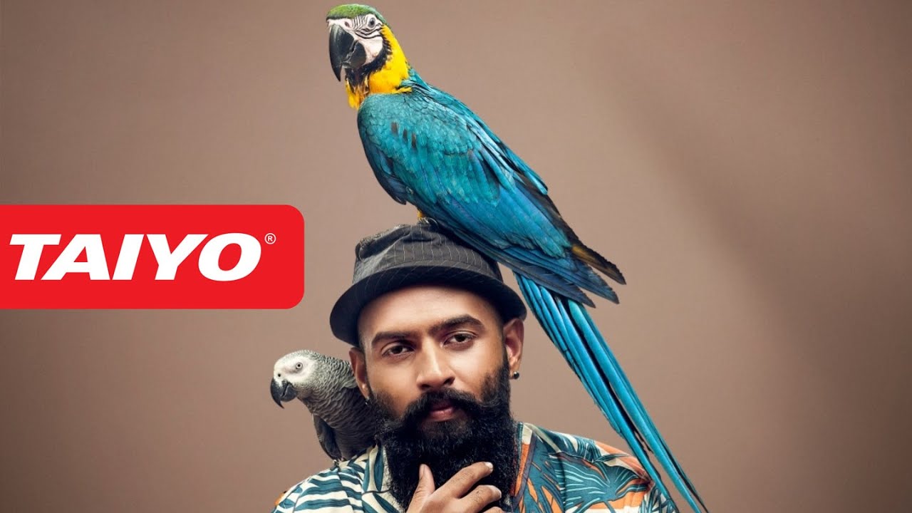 Taiyo - Pet Food | Online Editor by Kraft Works