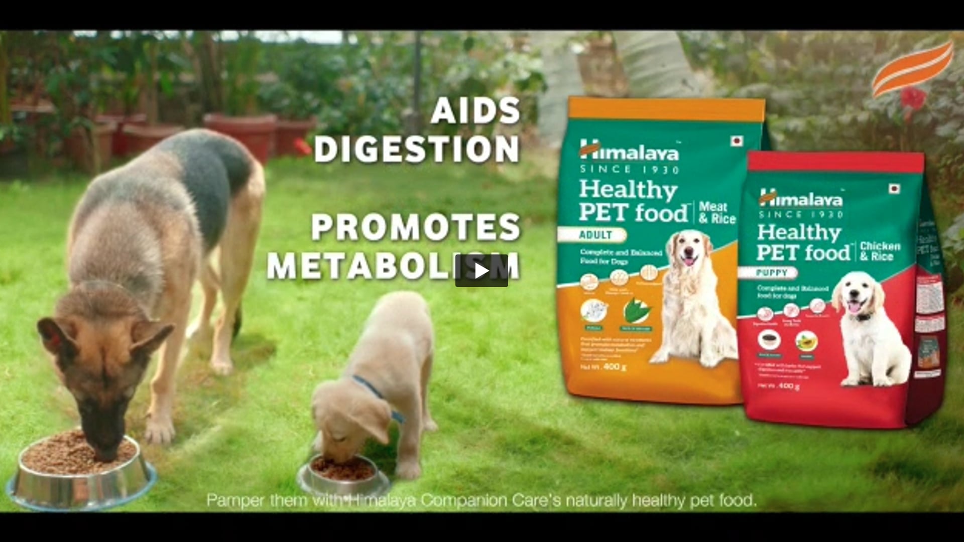 Himalaya Healthy Pet Food | Animal Handler by Joseph 