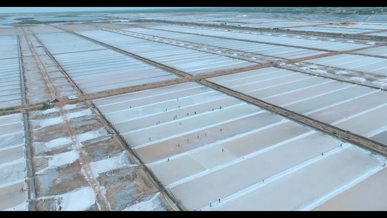 Tamil Nadu Salt Corporation Limited | Drone Pilot by H Balaji